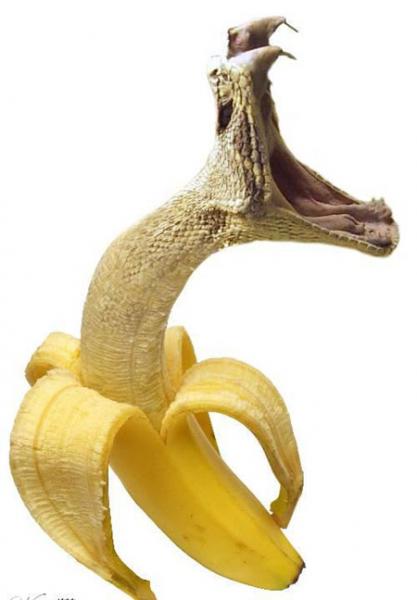 DROOOOOOOOLE DE FRUIT